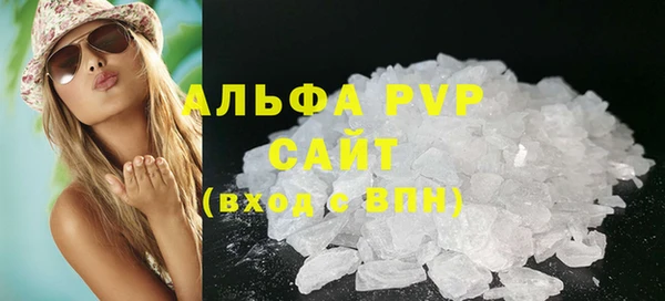 СК Алексин