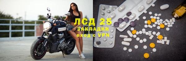 СК Алексин