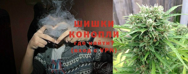 индика Абдулино