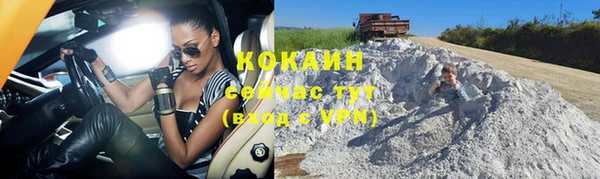 твердый Абаза